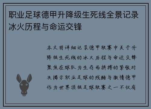 职业足球德甲升降级生死线全景记录冰火历程与命运交锋